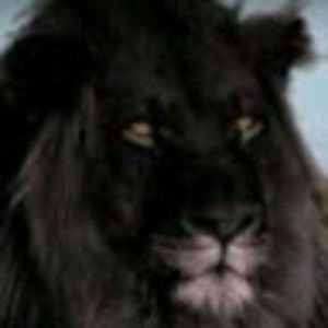 Meet your Posher, Robert lee